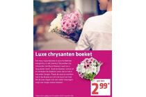 chrysanten