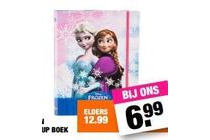 frozen make up boek