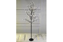lichtboom byleist