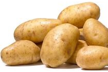 hollandse kruimige aardappelen