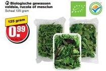 biologische gewassen veldsla rucola of mesclun