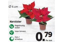 kerstster