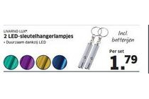 2 led sleutelhangerlampjes