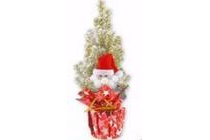 kerstconifeer