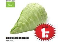 biologische spitskool