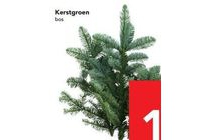 kerstgroen