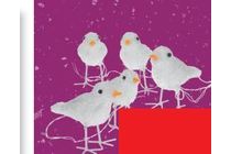 vogels 5 stuks met led verlichting