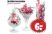 orchidee kerststukje