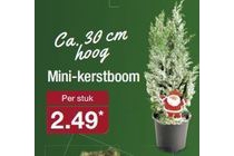 mini kerstboom