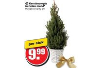 kerstboompje in rieten mand