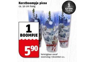 kerstboompje picea