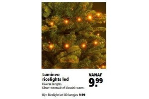 alle lumineo ricelights led nu vanaf eur9 99