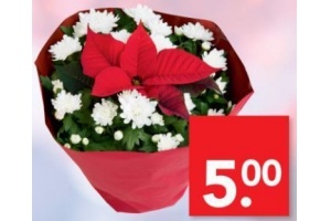 schaal met chrysant en kerstster