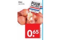 uien