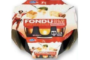 emmi fondue all in one