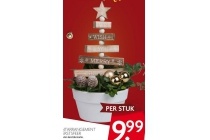 plantarrangement in kerstsfeer