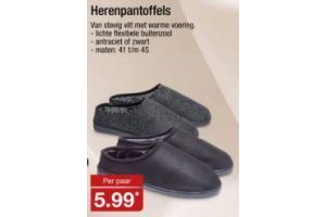 herenpantoffels