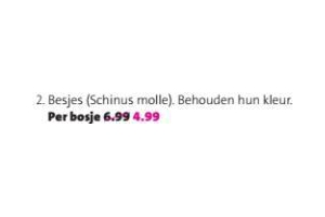 besjes schinus molle nu eur4 99 per bosje