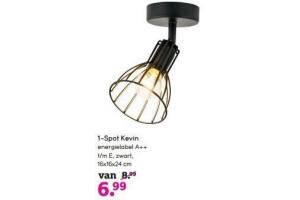 1 spot kevin nu eur6 99
