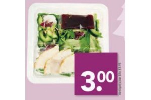 saladeschotel kiprollade cranberry