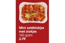 mini sateblokjes met stokjes jan linders