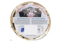 roem van yerseke oesters