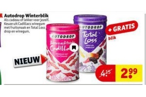 autodrop winterblik