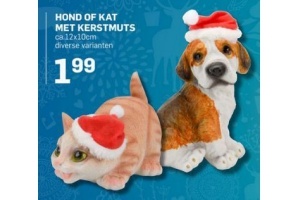 hond of kat met kerstmuts