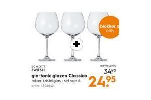 gin tonic glazen classico