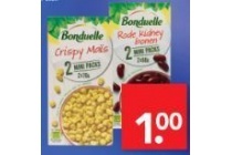 bonduelle 2 pack