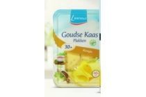 linessa goudse plakken