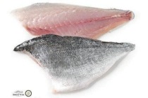 dorade royalfilet