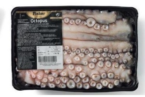 octopus