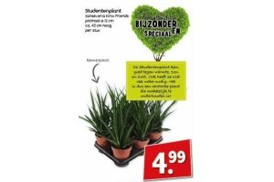 studentenplant