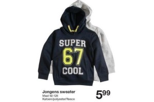 jongens sweater