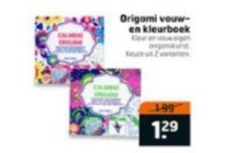 origami kleur en vouwboek