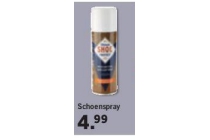 schoenspray