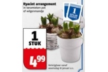 hyacint arrangement