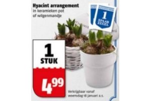 hyacint arrangement