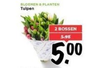 bloemen en planten tulpen