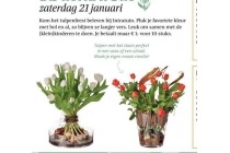 tulpenfeest