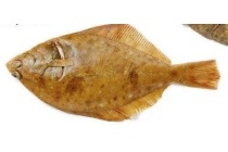 tongschar