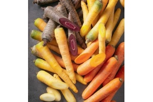 rainbow peen