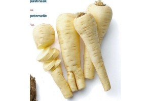 wortelpastinaak