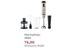 tefal staafmixer hb866