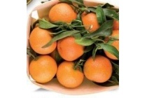 mandarijnen met blad