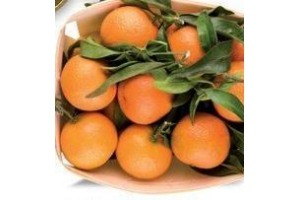 mandarijnen met blad