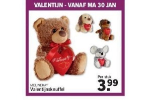 valentijnsknuffel