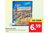 gamba s met staart
