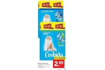 multipack kattenvoeding
